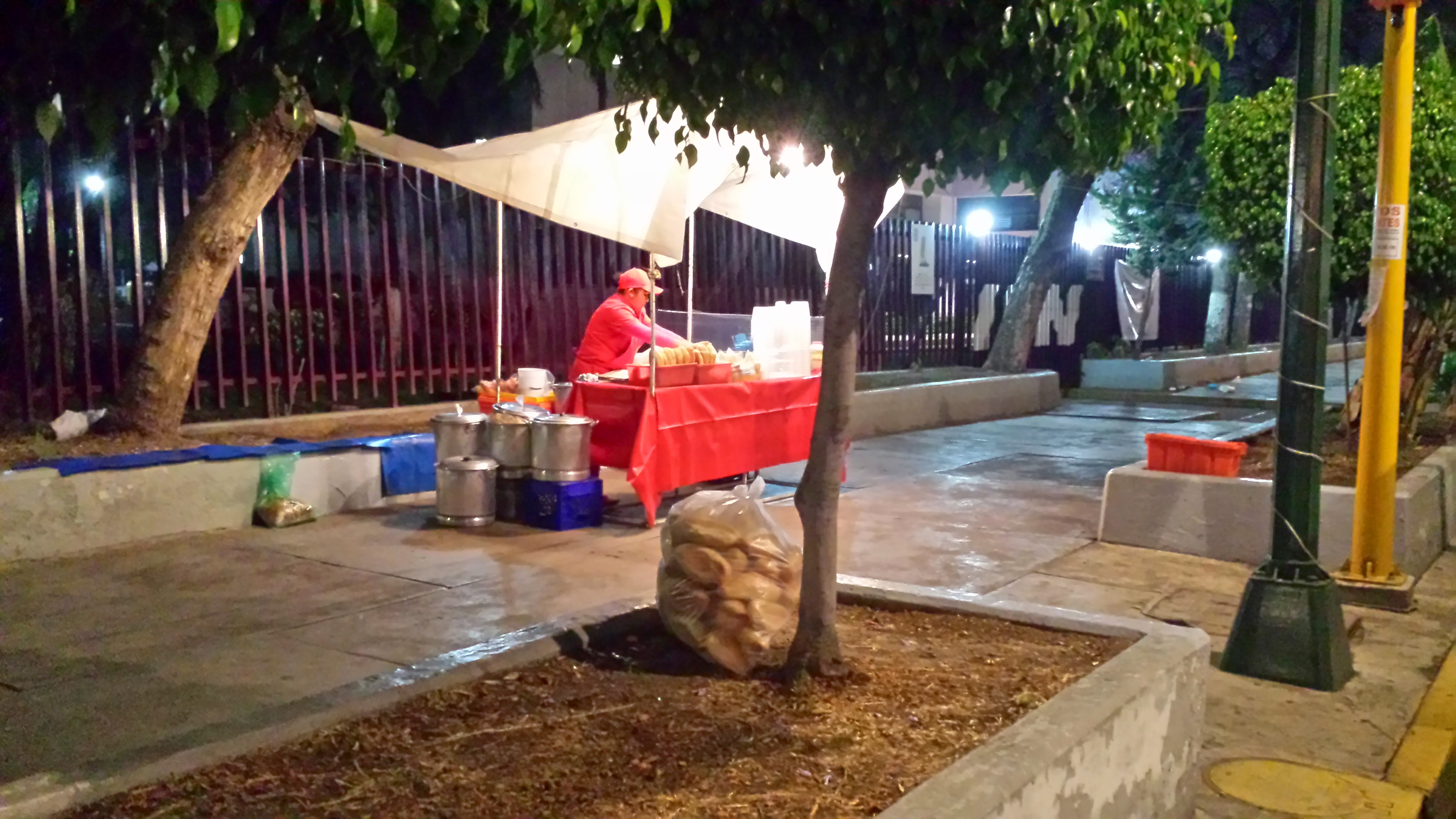 Experiencia Tamales GOGI